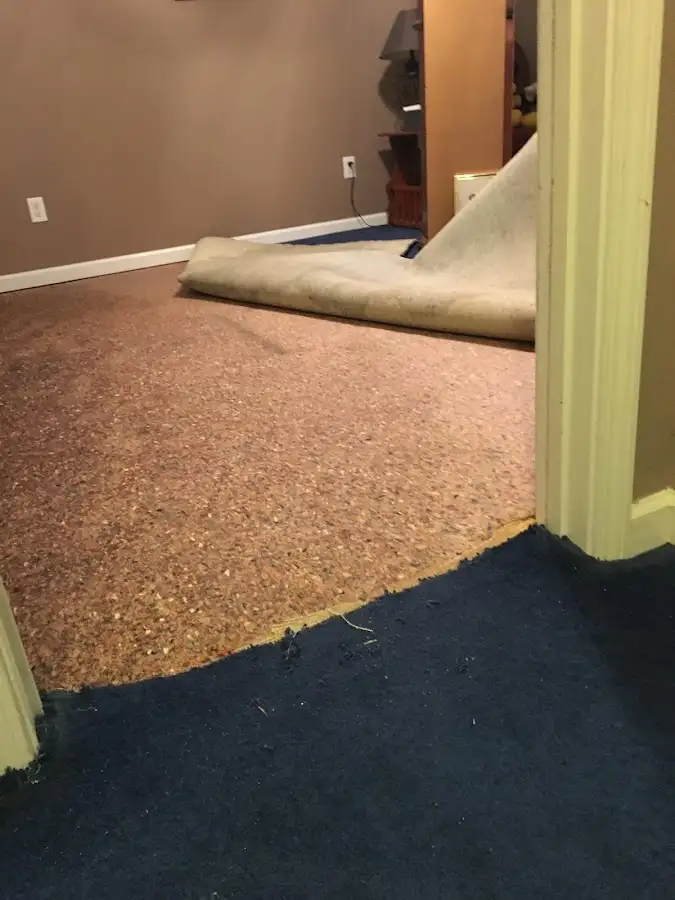 Carpet pad removal revealing water damage during Drying & Dehumidification in Moapa Valley
