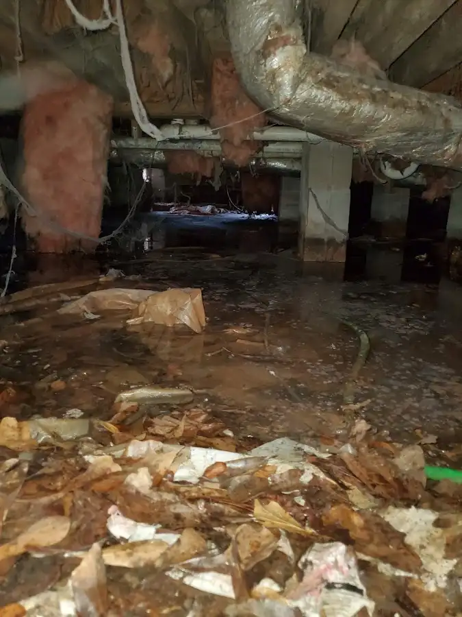 Crawl space flood assessment for Leak Detection & Repair in Moapa Valley