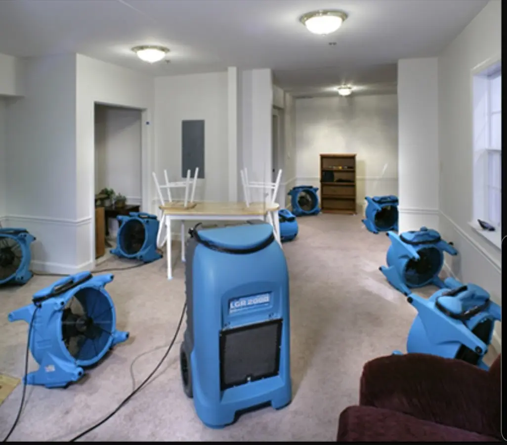 Air movers and dehumidifier setup for Water Extraction & Removal in Moapa Valley