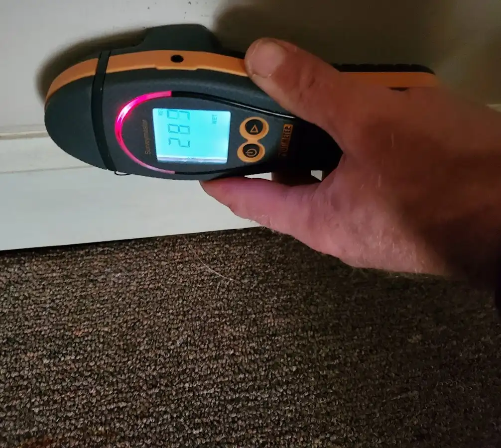 Moisture detection at baseboard during Mold Inspection & Testing in Moapa Valley