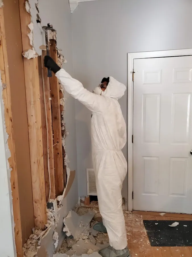Mold Remediation & Removal in Moapa Valley, NV